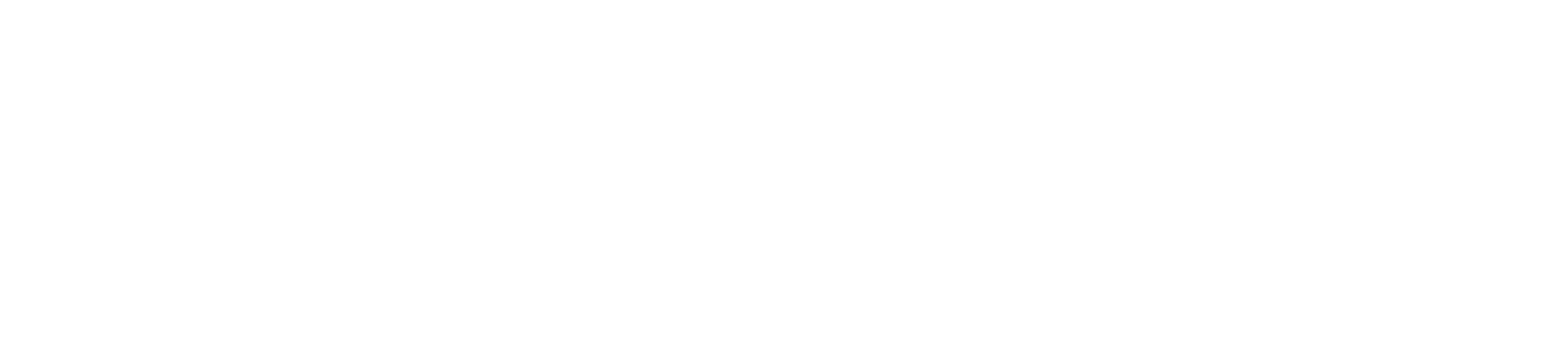 Sins Lures Logo White